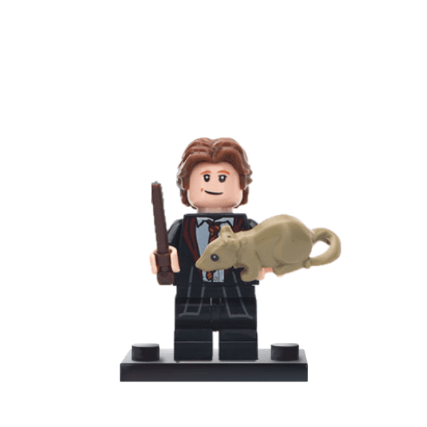 Harry Potter and the Chamber of Secrets Block Figures Set of 8pcs